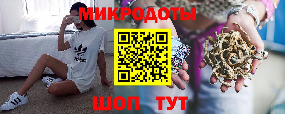 Майкоп  Галлюциногенные грибы GOLDEN TEACHER  Вход с VPN 
